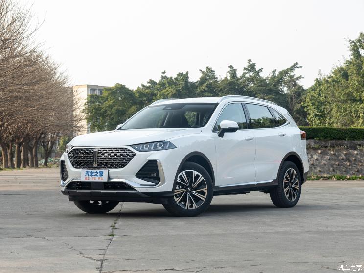 长城汽车 拿铁DHT 2022款 1.5T DHT中杯 长城汽车 拿铁DHT 2022款 1.5T DHT中杯