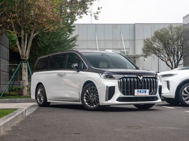 岚图汽车 梦想家 2022款 私人定制低碳版 岚图汽车 梦想家 2022款 私人定制低碳版