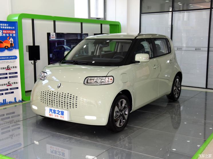 长城汽车 欧拉白猫 2022款 升级版 305km 豪华型 磷酸铁锂 长城汽车 欧拉白猫 2022款 升级版 305km 豪华型 磷酸铁锂