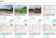 青年汽车被拍卖:无人报名/将进行二拍-鹏城车网