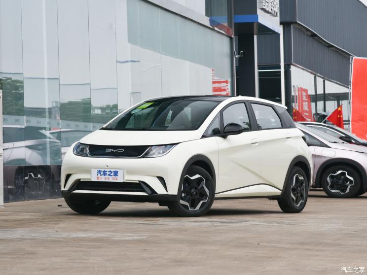 比亚迪 海豚 2023款 401km 骑士版 比亚迪 海豚 2023款 401km 骑士版