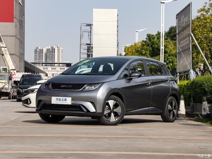 比亚迪 海豚 2023款 420km 自由版 比亚迪 海豚 2023款 420km 自由版