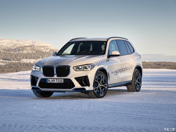 宝马(进口) 宝马iX5 2021款 基本型 宝马(进口) 宝马iX5 2021款 基本型