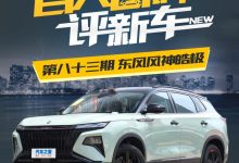 百人口碑评新车――东风风神皓极如何？-鹏城车网