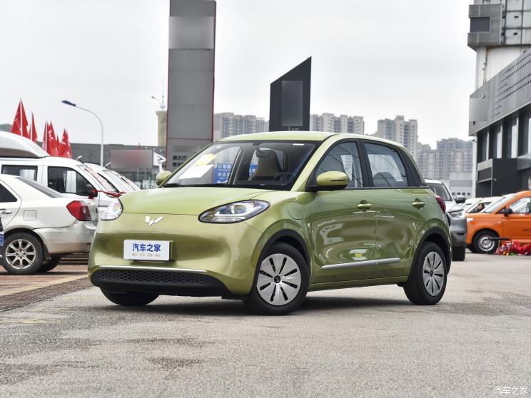 上汽通用五菱 五菱缤果 2023款 333km 快享款 上汽通用五菱 五菱缤果 2023款 333km 快享款