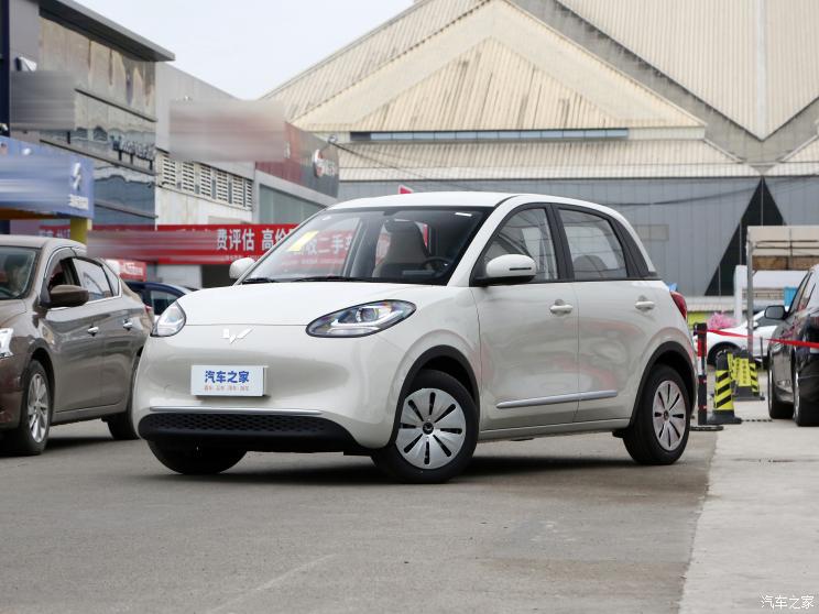 上汽通用五菱 五菱缤果 2023款 203km 轻享款 上汽通用五菱 五菱缤果 2023款 203km 轻享款