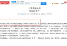 为梦想窒息 贾跃亭近日再被执行2.4亿-鹏城车网