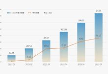 同比增56% 奇瑞集团上半年销量超74万辆-鹏城车网