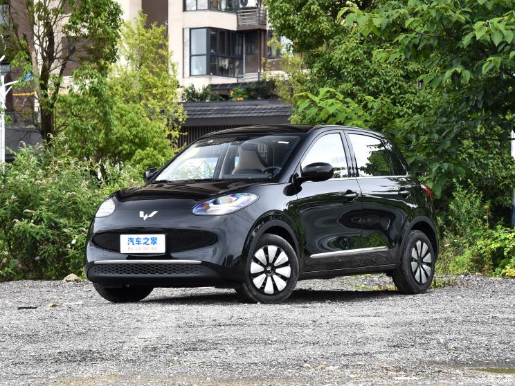 上汽通用五菱 五菱缤果 2023款 203km 舒享款 上汽通用五菱 五菱缤果 2023款 203km 舒享款