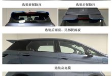 纪念50万辆 海豚纪念版今日下线并上市-鹏城车网