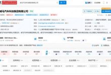 总金额超1亿元 威马汽车申请破产审查-鹏城车网