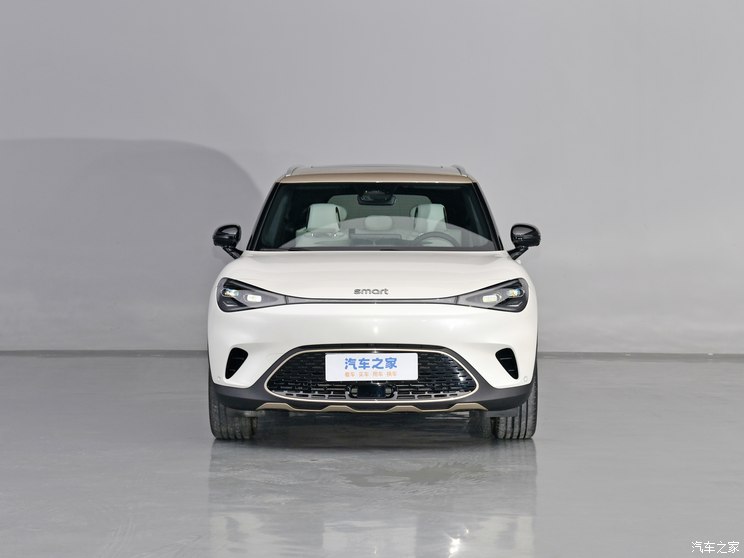 smart smart精灵#1 2024款 铂金版 smart smart精灵#1 2024款 铂金版