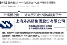国内最大一体化特斯拉中心将落户上海-鹏城车网