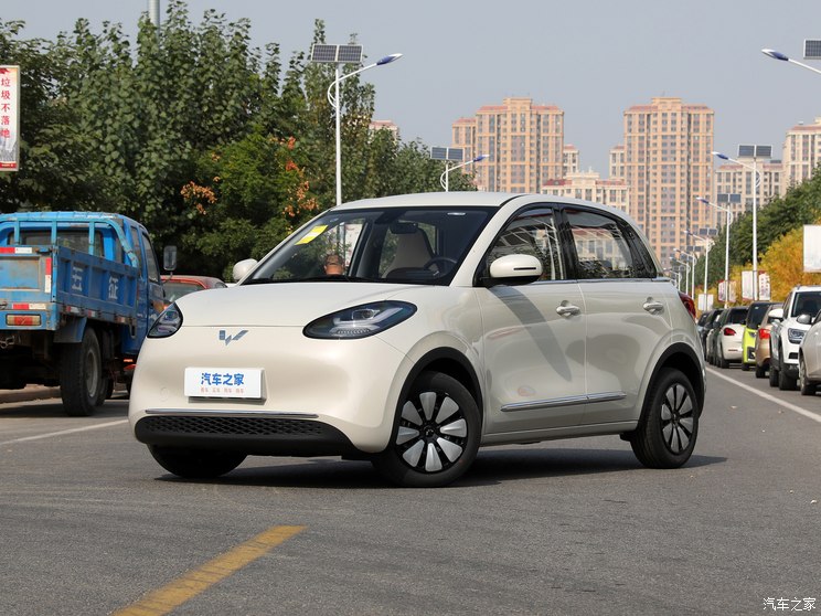 上汽通用五菱 五菱缤果 2023款 203km 舒享款 上汽通用五菱 五菱缤果 2023款 203km 舒享款