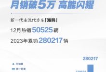 2023年海鸥销量达28万辆 12月卖出5万辆-鹏城车网