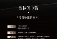 闪电猫/好猫等 欧拉至高现金减免3万元-鹏城车网
