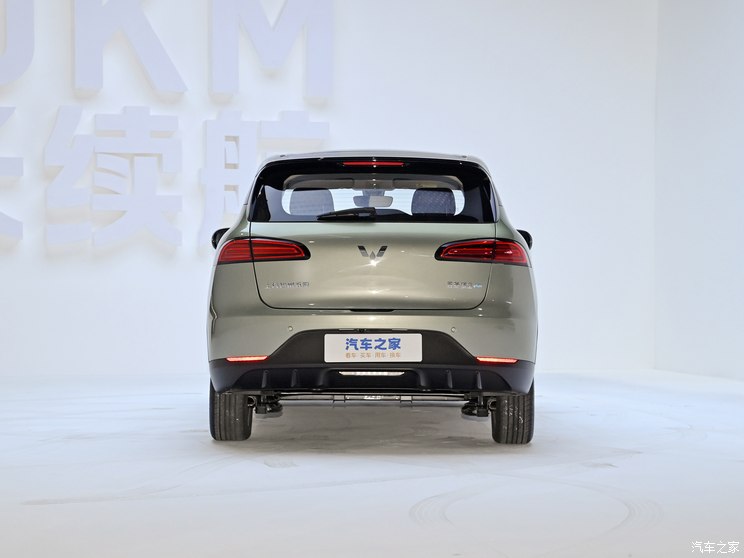 上汽通用五菱 五菱缤果PLUS 2024款 510km 旗舰版 上汽通用五菱 五菱缤果PLUS 2024款 510km 旗舰版