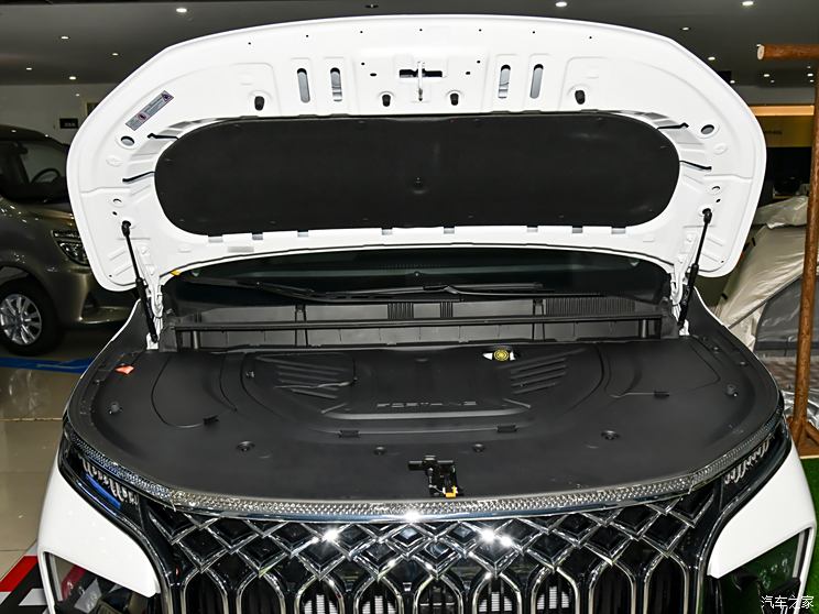 东风风行 星海V9 2024款 1.5TD 200km 中国结系列 尊享型 东风风行 星海V9 2024款 1.5TD 200km 中国结系列 尊享型