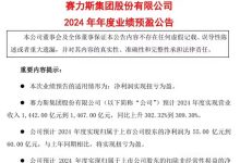 赛力斯2024年净利润转正 预计净利润达60亿 会有更多增程车推出-鹏城车网